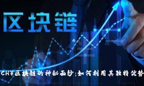 揭开比特币现金（BCH）区块链的神秘面纱：如何利用其独特优势推动数字货币未来