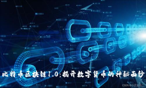 比特币区块链1.0：揭开数字货币的神秘面纱