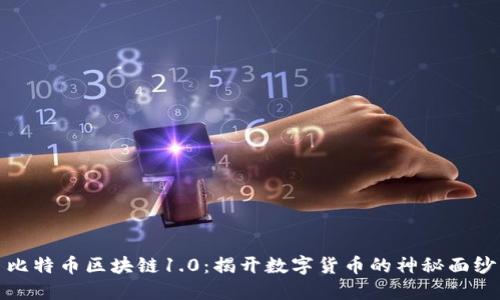 比特币区块链1.0：揭开数字货币的神秘面纱