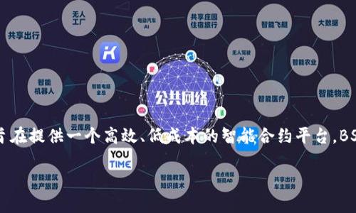 在TPWallet中，BSC指的是“Binance Smart Chain”。它是由币安（Binance）推出的一条区块链，旨在提供一个高效、低成本的智能合约平台。BSC与以太坊的兼容性使得开发者可以轻松地在这个平台上构建去中心化应用（DApps）和发行代币。

### 深入了解TPWallet中的BSC：你的去中心化金融革命之旅