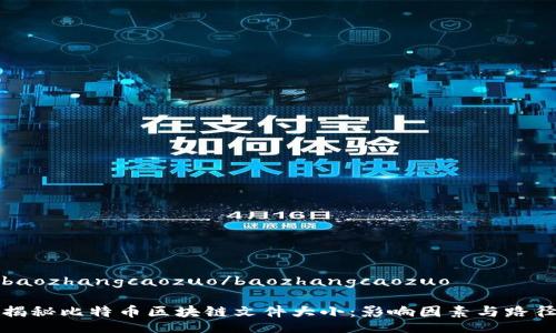baozhangcaozuo/baozhangcaozuo

揭秘比特币区块链文件大小：影响因素与路径