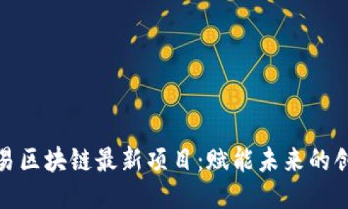 探索网易区块链最新项目：赋能未来的创新之路