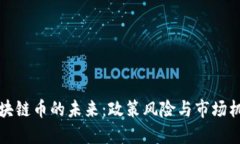 区块链币的未来：政策风险与市场机会