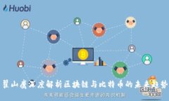 翟山鹰深度解析区块链与比特币的未来趋势