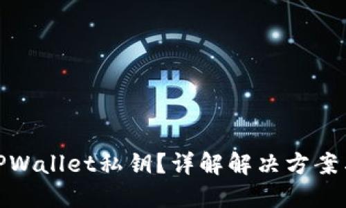 如何找回TPWallet私钥？详解解决方案与预防措施