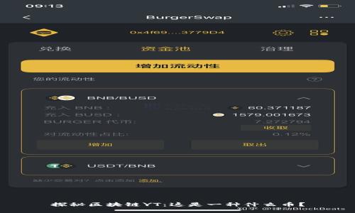 探秘区块链YT：这是一种什么币？
