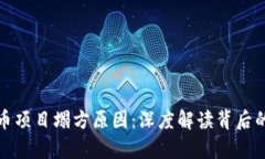 探析区块链币项目塌方原因：深度解读背后的风
