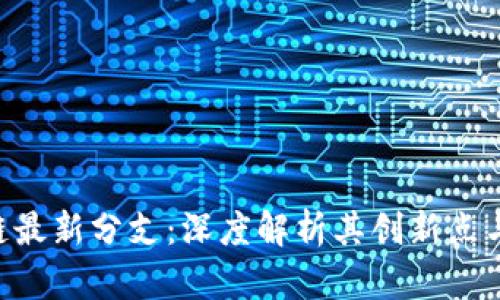 RCS区块链最新分支：深度解析其创新点与应用前景