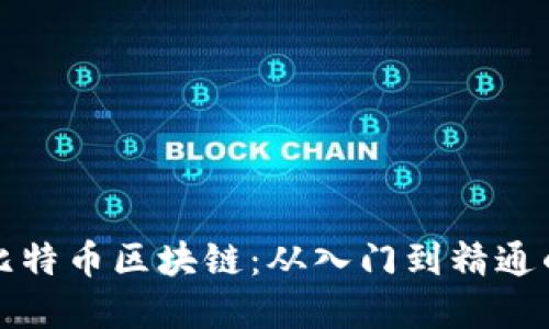 全面掌握比特币区块链：从入门到精通的视频教程