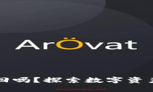 TPWallet被盗币能追回吗？探索数字资产安全与追回的可能性