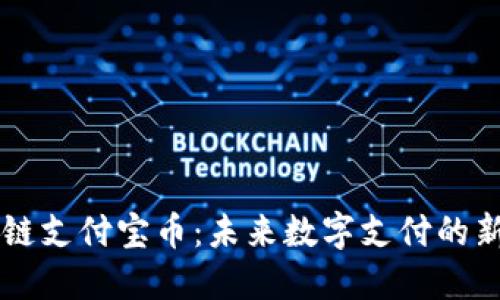 区块链支付宝币：未来数字支付的新纪元