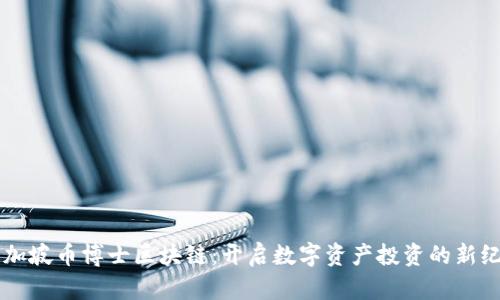 新加坡币博士区块链：开启数字资产投资的新纪元