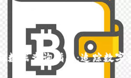 区块链币流向数据查询指南：追踪数字资产的每一步