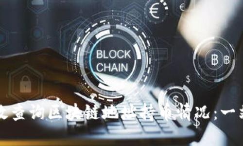 如何高效查询区块链地址持币情况：一站式指南