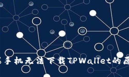全面解决：苹果手机无法下载TPWallet的原因及解决方法
