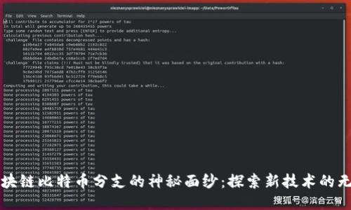 揭开区块链比特币分支的神秘面纱：探索新技术的无限可能
