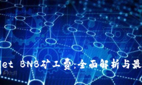 TPWallet BNB矿工费：全面解析与最新动态