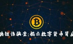 池州破获区块链诈骗案：揭示数字货币背后的隐