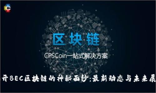 揭开BEC区块链的神秘面纱：最新动态与未来展望