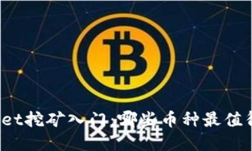 TPWallet挖矿入门：哪些币种最值得投资？