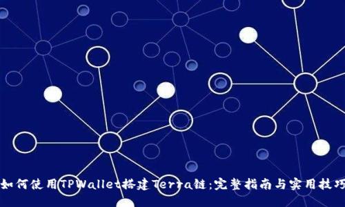 如何使用TPWallet搭建Terra链：完整指南与实用技巧