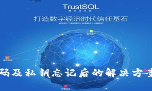 TPWallet密码及私钥忘记后的解决方案与预防措施