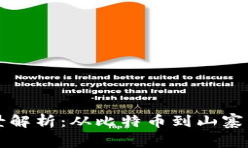 区块链世界里的币圈全景解析：从比特币到山寨币的投资策略与未来趋势