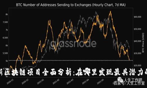2023年最新区块链项目全面分析：在哪里发现最具潜力的投资机会？
