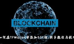 如何在TPWallet中添加BSC链：新手教程与技巧