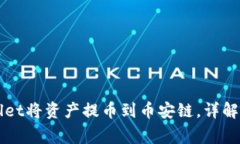 如何使用TPWallet将资产提币到币安链，详解步骤与