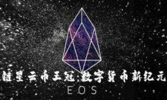 探索区块链星云币王冠：数字货币新纪元的引领