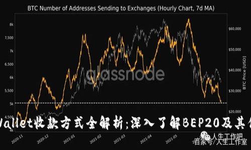 TPWallet收款方式全解析：深入了解BEP20及其优势
