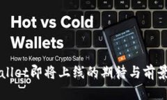 TPWallet即将上线的期待与前景分析