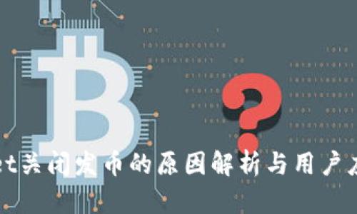 TPWallet关闭发币的原因解析与用户应对策略
