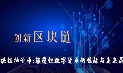 区块链柚子币：颠覆性数字货币的崛起与未来展望