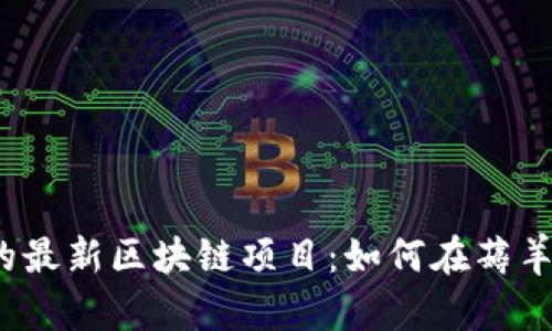 2023年值得关注的最新区块链项目：如何在薅羊毛中获得最大收益