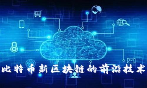 : 深入探析比特币新区块链的前沿技术与未来趋势