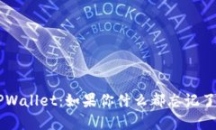 全面解析TPWallet：如果你什么都忘记了，请看这里