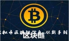 如何高效查询虚拟币区块链信息：从新手到高手