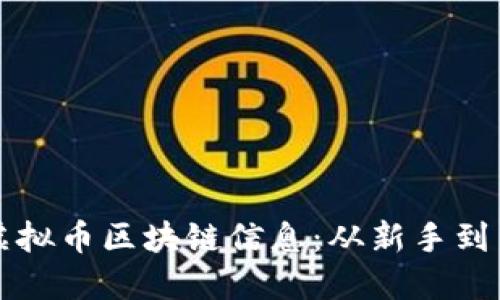如何高效查询虚拟币区块链信息：从新手到高手的终极指南