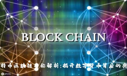 比特币区块链名称解析：揭开数字货币背后的奥秘