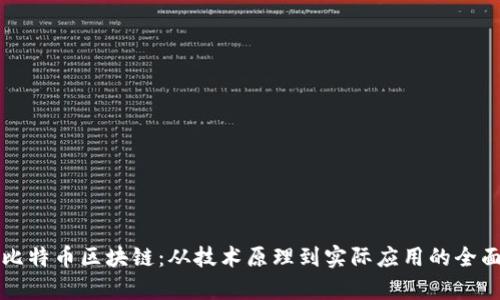 揭秘比特币区块链：从技术原理到实际应用的全面解析