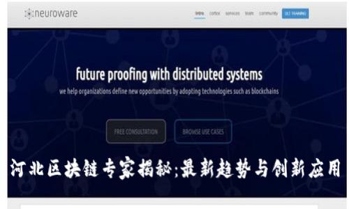 河北区块链专家揭秘：最新趋势与创新应用