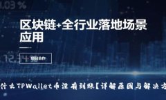 为什么TPWallet币没有到账？详解原因与解决方案