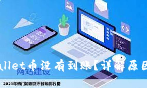 为什么TPWallet币没有到账？详解原因与解决方案