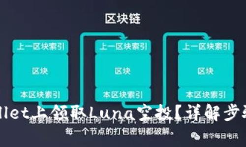 如何在TPWallet上领取Luna空投？详解步骤与注意事项