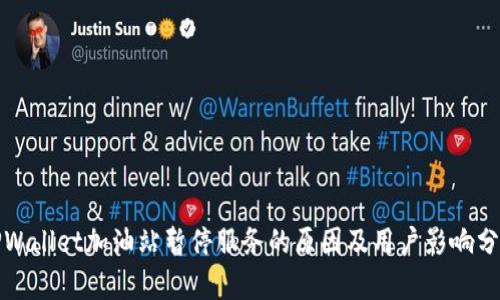 TPWallet加油站暂停服务的原因及用户影响分析