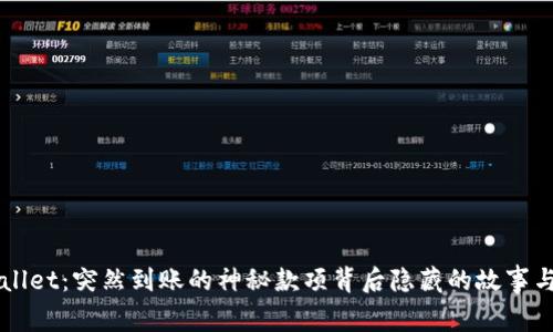 揭秘TPWallet：突然到账的神秘款项背后隐藏的故事与安全解析