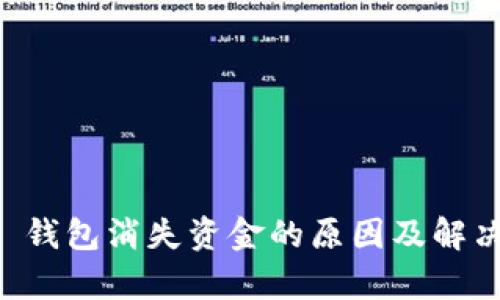 TPWallet 钱包消失资金的原因及解决方法解析