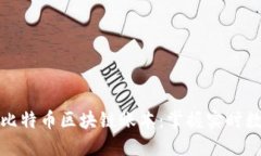 如何高效查看比特币区块链账本：掌握实时数据